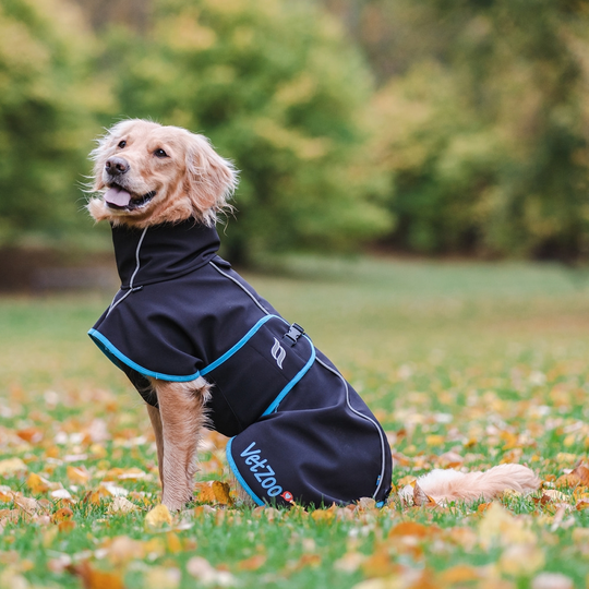 Back on Track Bark Hundtäcke VetZoo Limited Edition Svart (25 cm)