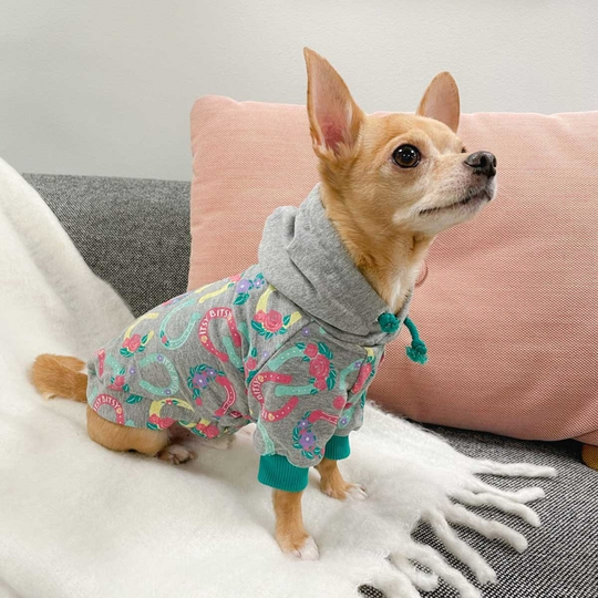 ItsyBitsy Lucky Hoodie Hundtröja Grå (20 cm)