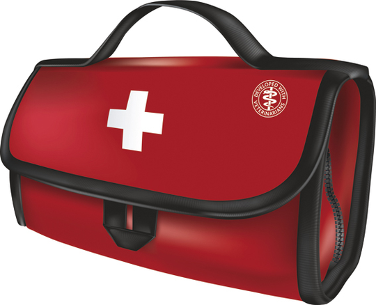 Första Hjälpen Premiumkit - Första Hjälpenkit
