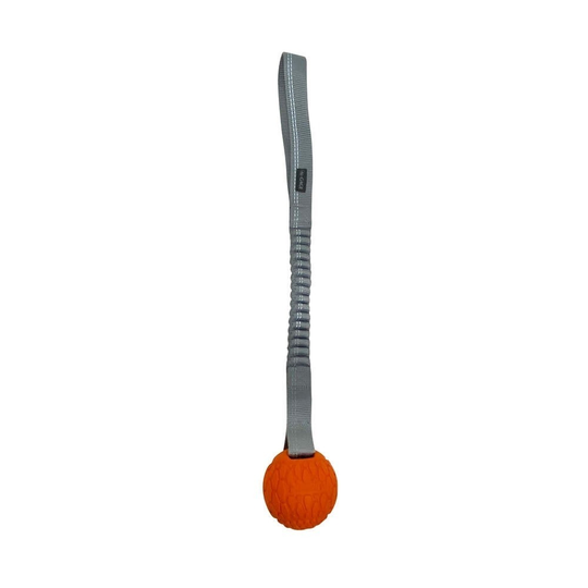 N-Gage Bungee Dragboll Orange