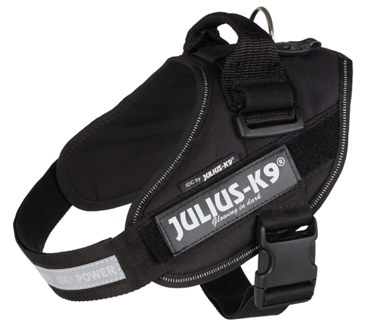 Hundsele IDC Svart - Mini-Mini/S