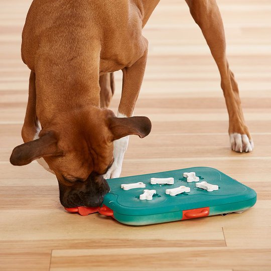 Nina Ottosson DogCasino