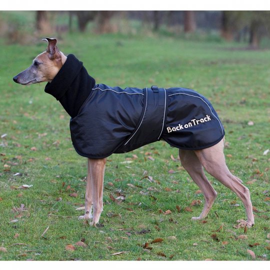 Back on Track Hundtäcke Whippet (L)