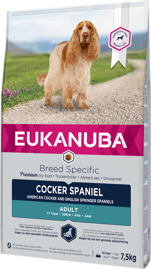 Dog Cocker - 7,5 kg