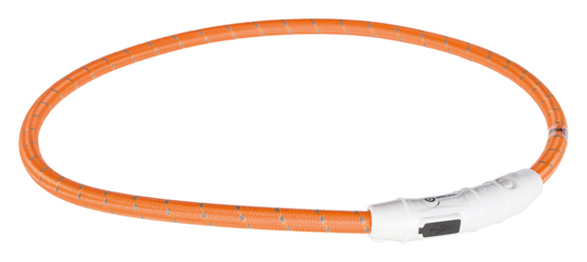 Lysande hundhalsband - Large / Orange