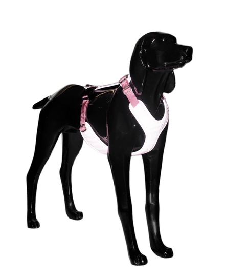 Reflekterande Hundsele - Rosa XS