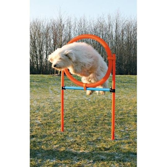 Agility Hoppring