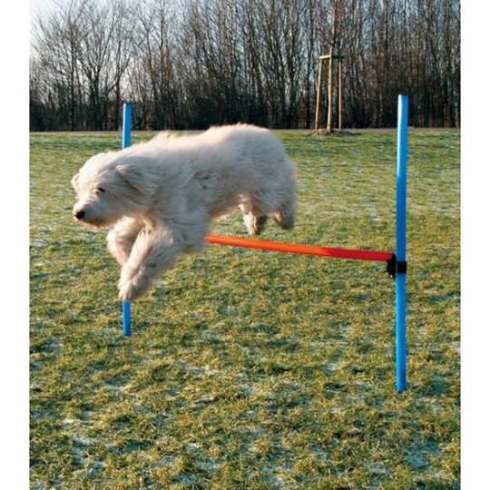 Agility Hopphinder