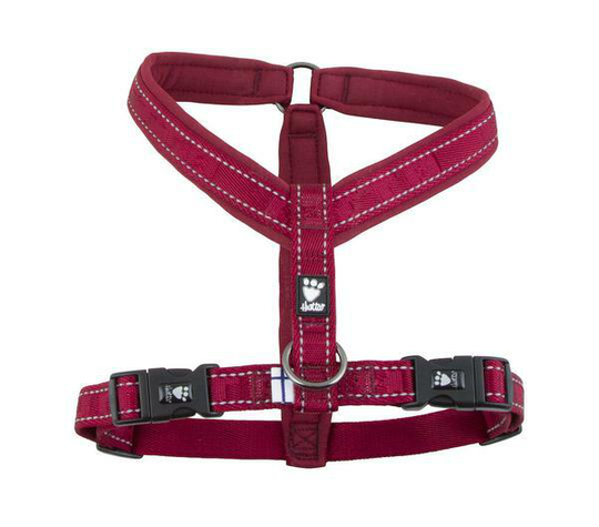 Casual Y-Sele - Lingon / 35