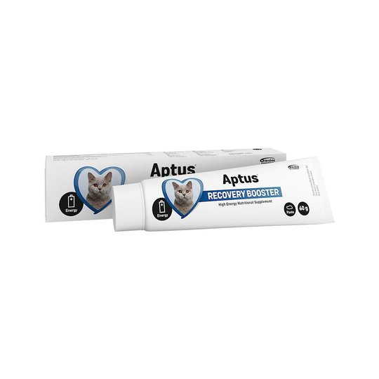 Aptus Recovery Booster Katt 60 g