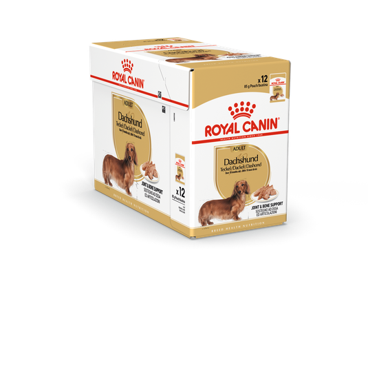 Dachshund Adult Våtfoder för hund - 12 x 85 g