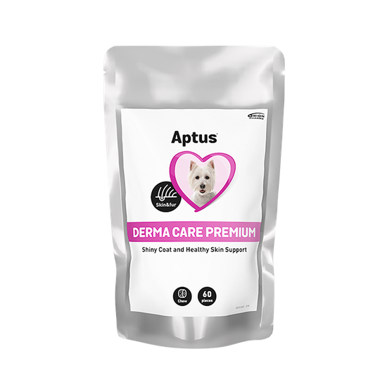 Derma Care Premium - 60 st tuggbitar