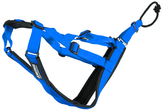 Sled Dog X-Back - Small / Blå