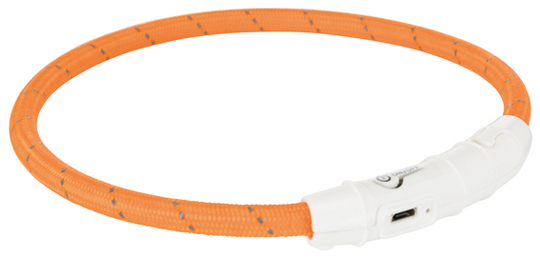 Lysande hundhalsband - Medium / Orange