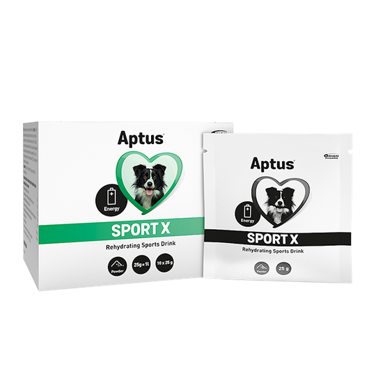 Sport X Pulver Energitillskott - 10x25 g