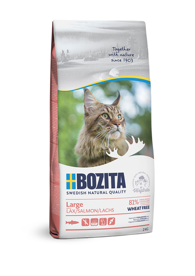 Wheat Free Salmon Torrfoder för stor katt - 2 kg