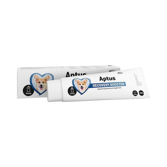 Aptus Recovery Booster Hund 100 g