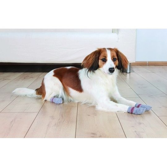 Hundsockor Non-slip 2-pack (M - L)
