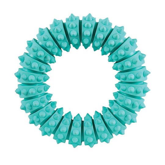Trixie Denta Fun Tuggring Mint
