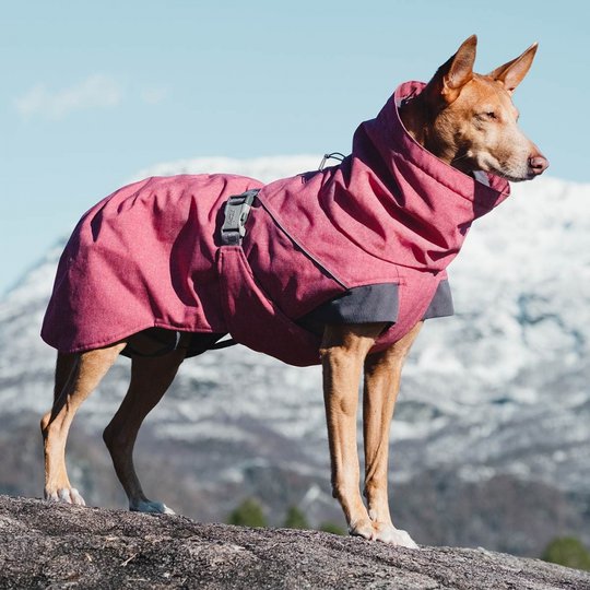 Hurtta Expedition Parka (30 cm)