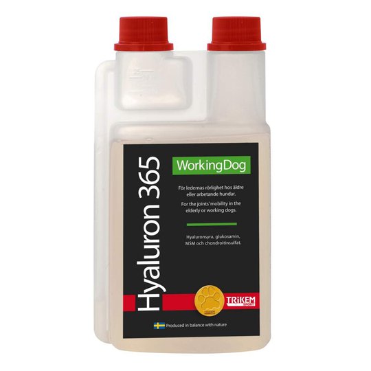 Trikem Hyaluron 365 (1 l)