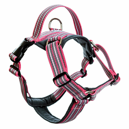 Future Walking Sele - XXS / Rosa