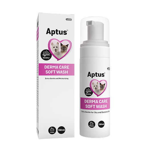 Derma Care Soft Wash - 150 ml