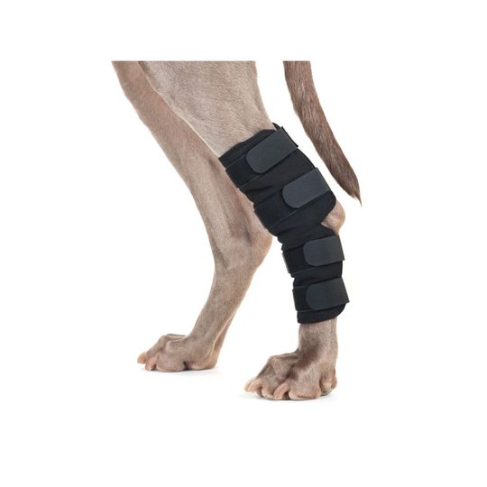 Back on Track Hundhasskydd Svart 2-pack (S)