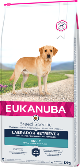 Dog Labrador - 12 kg