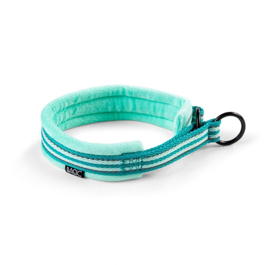 Basic Cosy Soft Hundhalsband Grön (3 x 20 - 27)