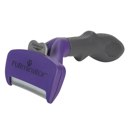 Cat Long Hair - Medium/Large