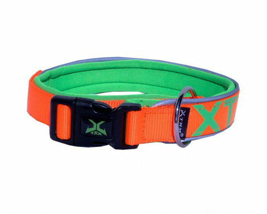 Neon Flash Collar - Small