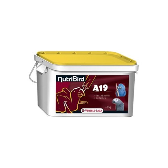 Handuppmatning A19