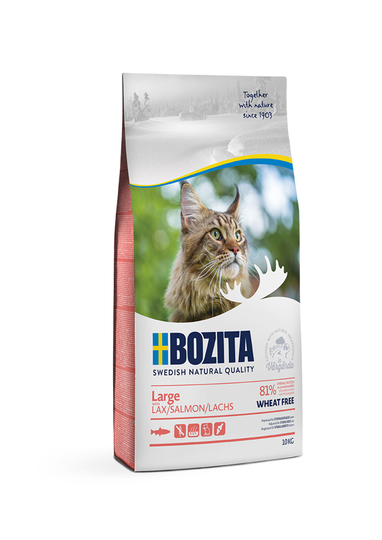 Wheat Free Salmon Torrfoder för stor katt - 10 kg