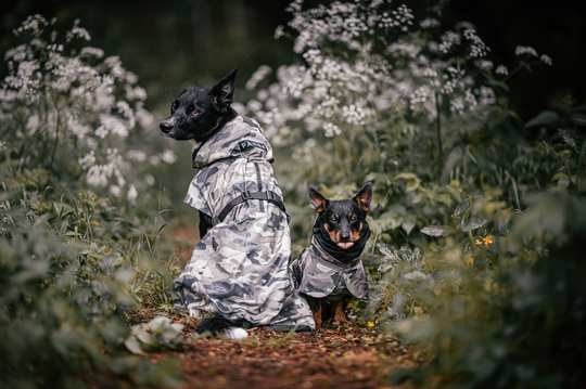 Reflekterande Regnjacka Hund, Camo - 20