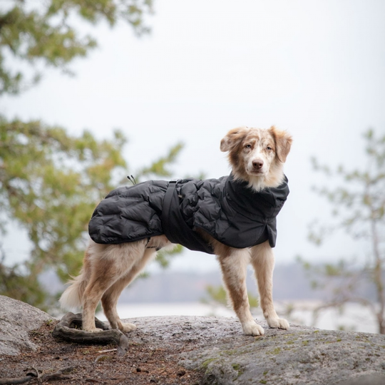 Feel Active Haga Parka Svart (25 cm)