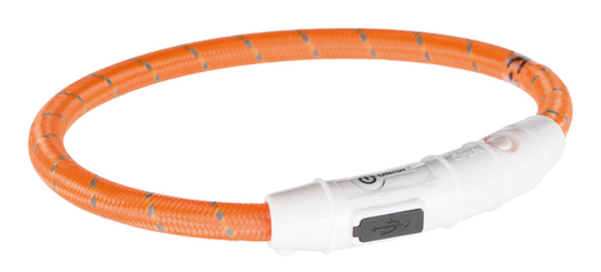 Lysande hundhalsband - Small / Orange