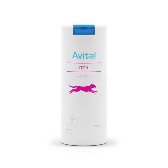 Avital Itch