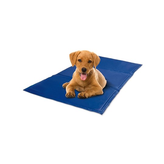 Cool Mat Kyldyna (Blå 40 x 50 cm)