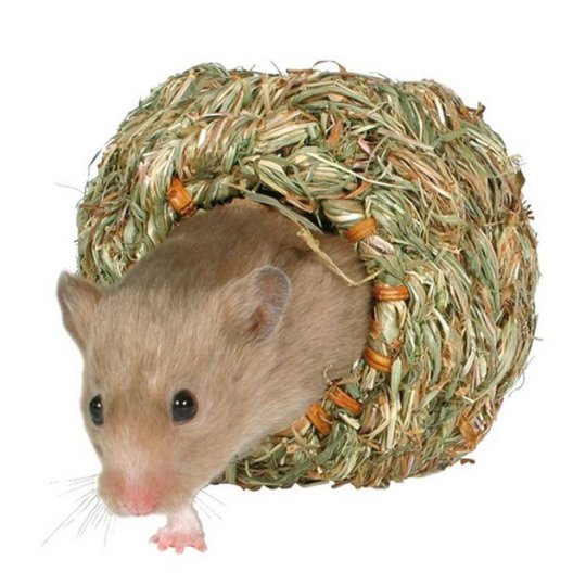 Trixie Hamster Höhus 10 cm