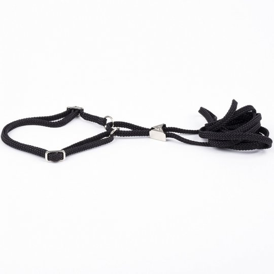 Show Dog Utställningskoppel med Halsband Halvstryp Svart (5 mm x 120 cm)